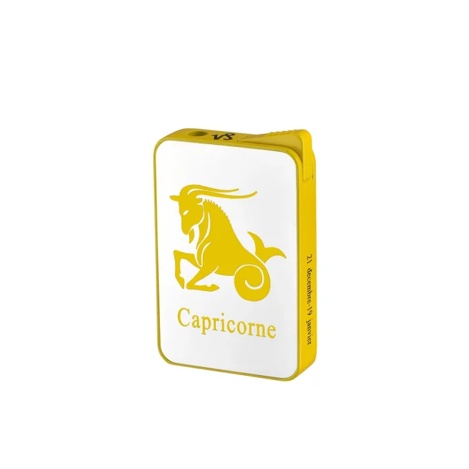 Briquet Signe Astrologique 