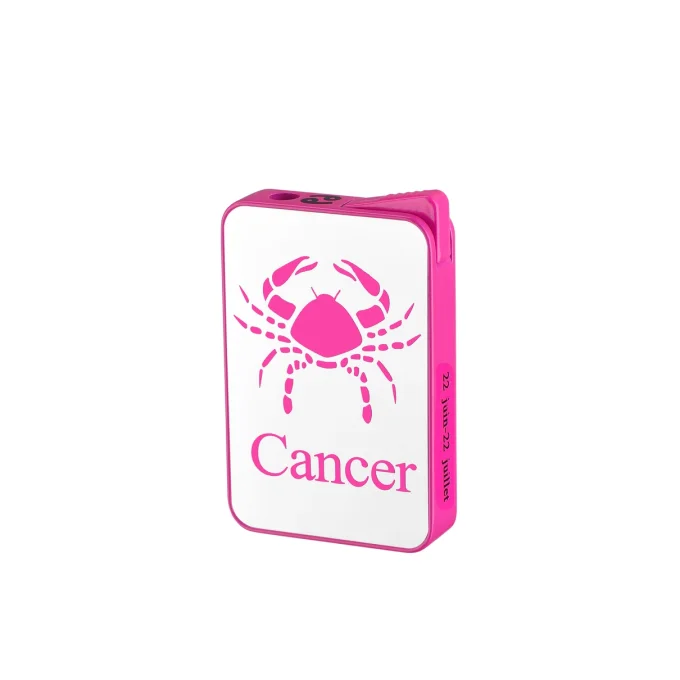 Briquet Signe Astrologique