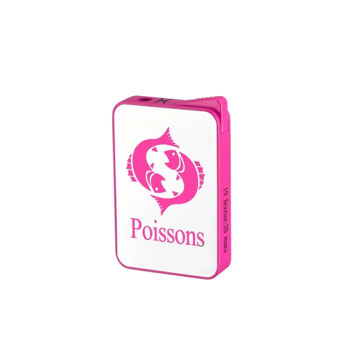 Briquet Signe Astrologique